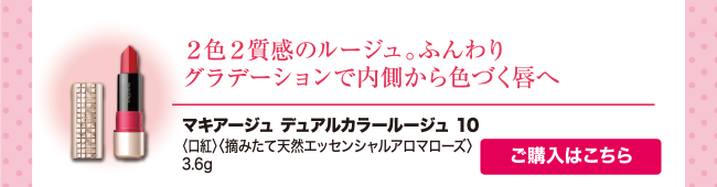 デュアルカラールージュ 10