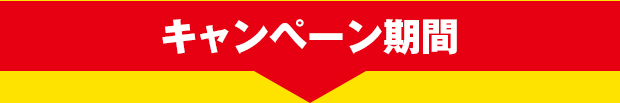 キャンペーン期間