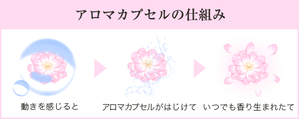 カプセルの秘密