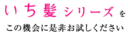いち髪シリーズをこの機会に是非お試しください。
