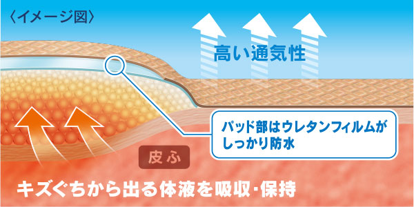 高い通気性 キズぐちから出る体液を吸収・保持