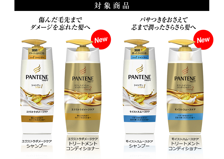 対象商品：痛んだ毛先までダメージを忘れた髪へエクストラダメージケア。パサつきをおさえて芯まで潤ったさらさら髪へモイストスムースケア