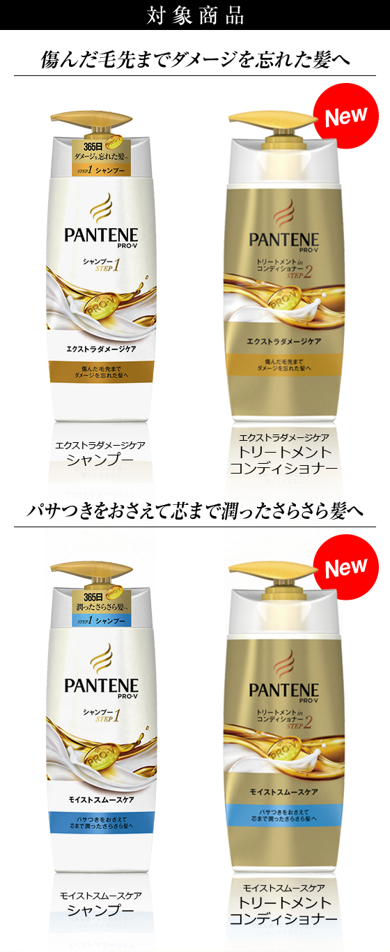 対象商品：傷んだ毛先までダメージを忘れた髪へエクストラダメージケア。パサつきをおさえて芯まで潤ったさらさら髪へモイストスムースケア