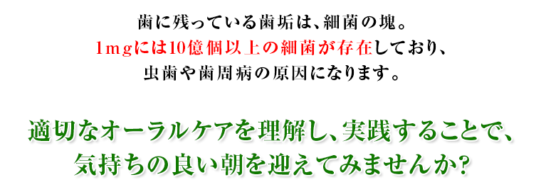 歯に残っている歯垢は、細菌の塊。1mgには10億個以上の細菌が存在しており、虫歯や歯周病の原因になります。