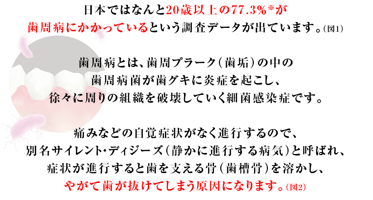 日本ではなんと20歳以上の77.3％※が歯周病にかかっているという調査データが出ています。歯周病とは、歯周プラーク（歯垢）の中の歯周病菌が歯グキに炎症を起こし、徐々に周りの組織を破壊していく細菌感染症です。痛みなどの自覚症状がなく進行するので、別名サイレント・ディジーズ（静かに進行する病気）と呼ばれ、症状が進行すると歯を支える骨（歯槽骨）を溶かし、やがて歯が抜けてしまう原因になります。