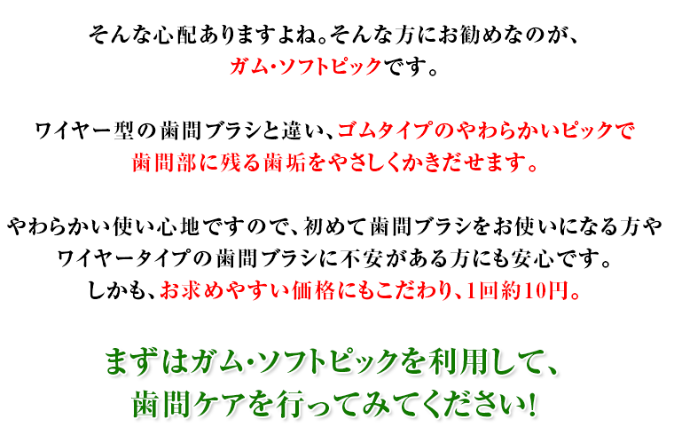 そんな心配ありますよね。そんな方にお勧めなのが、ガム・ソフトピックです。ワイヤー型の歯間ブラシと違い、ゴムタイプのやわらかいピックで歯間部に残る歯垢をやさしくかきだせます。やわらかい使い心地ですので、初めて歯間ブラシをお使いになる方やワイヤータイプの歯間ブラシに不安がある方にも安心です。しかも、お求めやすい価格にもこだわり、1回約10円。