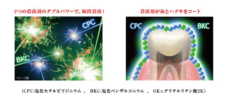 2つの殺菌剤のダブルパワーで、瞬間殺菌！殺菌剤が歯とハグキをコート