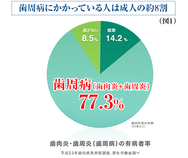 歯周病にかかっている人は成人の約8割