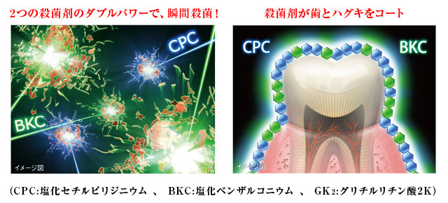 2つの殺菌剤のダブルパワーで、瞬間殺菌！殺菌剤が歯とハグキをコート
