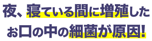 夜、寝ている間に増殖したお口の中の細菌が原因!