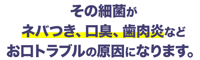 その細菌がネバつき、口臭、歯肉炎などお口トラブルの原因になります。
