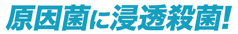原因菌に浸透殺菌!