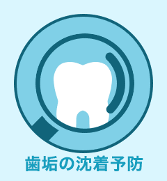 歯垢の沈着予防