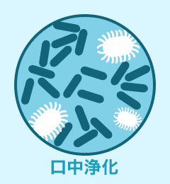 口中浄化