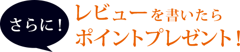 さらにレビューを書いたらポイントプレゼント！