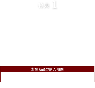 特典1 スタイリングシリーズが50円引き