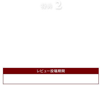 特典2 スタイリングシリーズのレビューを書くと100ポイントもらえる!