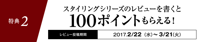 特典2 スタイリングシリーズのレビューを書くと100ポイントもらえる!