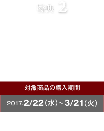 特典2 スタイリングシリーズのレビューを書くと100ポイントもらえる!