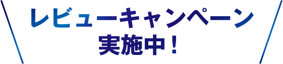 レビューキャンペーン実施中！