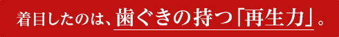 着目したのは、歯ぐきの持つ「再生力」。