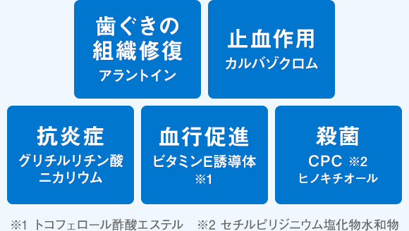 歯ぐきの組織修復「アラントイン」、抗炎症「グリチルリチン酸ニカリウム」、血行促進「ビタミンE誘導体 ※1」、殺菌「CPC ※2　ヒノキチオール」、止血作用「カルバゾクロム」