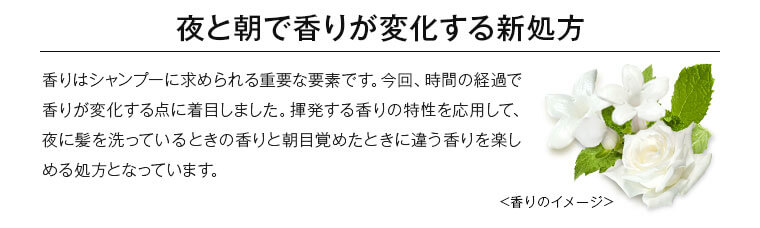 夜と朝で香りが変化する新処方