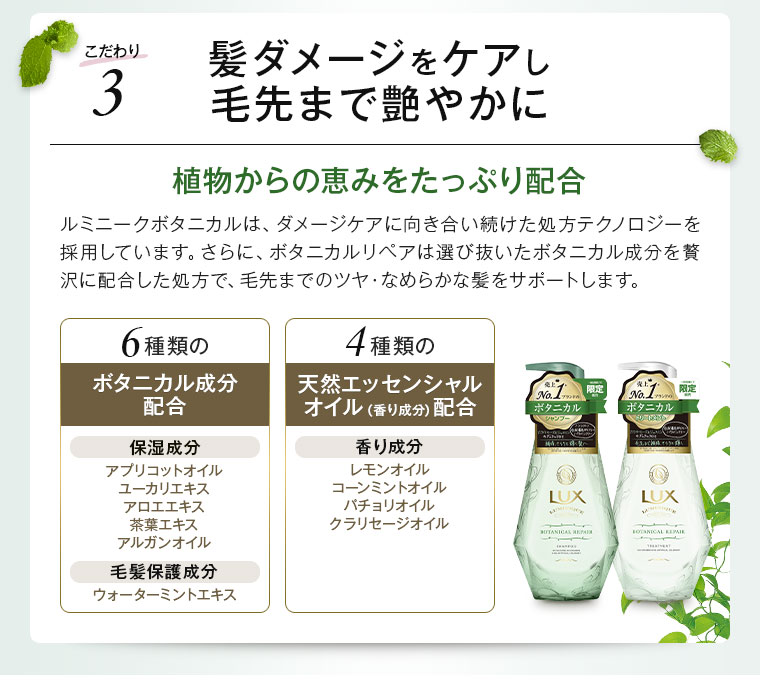 髪ダメージをケアし毛先まで艶やかに
