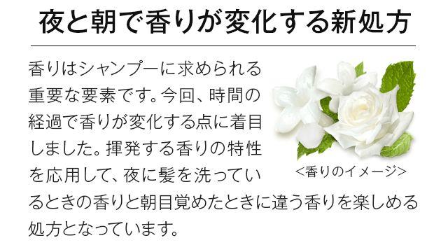 夜と朝で香りが変化する新処方
