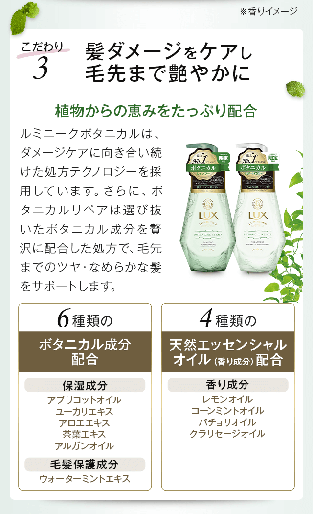 髪ダメージをケアし毛先まで艶やかに