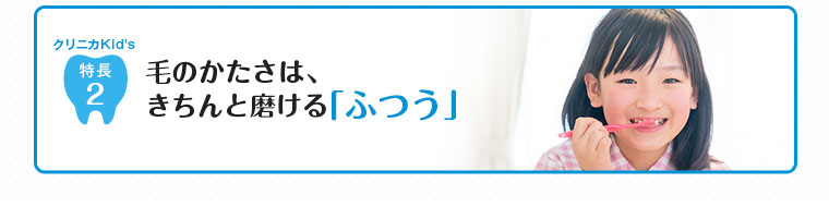 毛のかたさはきちんと磨ける「ふつう」
