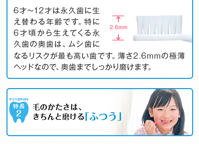 毛のかたさはきちんと磨ける「ふつう」
