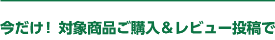 今だけ！対象商品ご購入＆レビュー投稿で