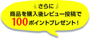 購入後レビュー投稿で100ポイント
