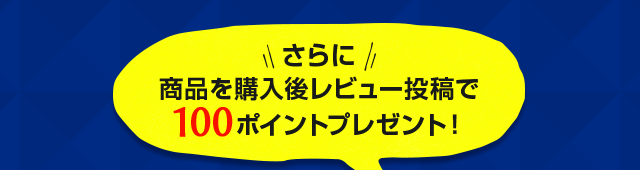 購入後レビュー投稿で100ポイント