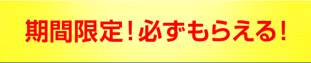 期間限定！必ずもらえる