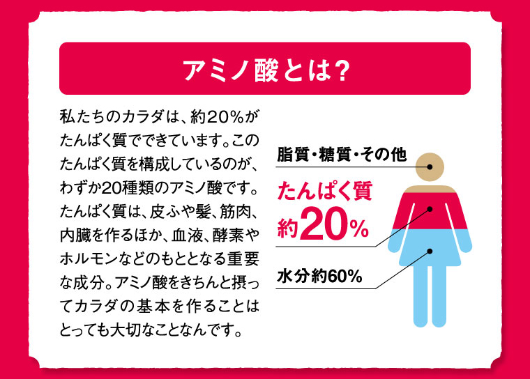 しじみの成分「アミノ酸アラニン」