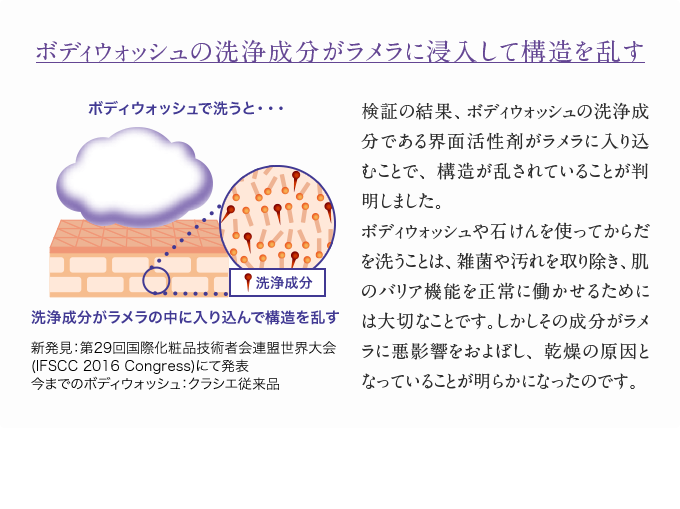 ボディウォッシュの洗浄成分がラメラに浸入して構造を乱す