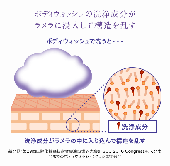 ボディウォッシュの洗浄成分がラメラに浸入して構造を乱す