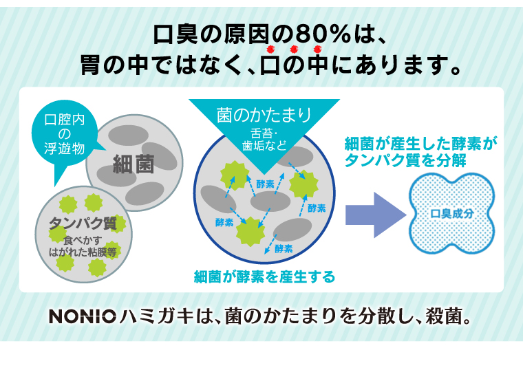 口臭の原因の80％は、胃の中ではなく、口の中にあります。