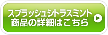 スプラッシュシトラスミント商品の詳細はこちら