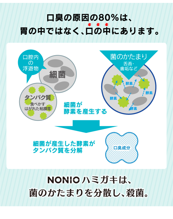 口臭の原因の80％は、胃の中ではなく、口の中にあります。