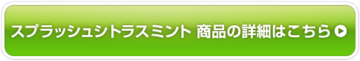 スプラッシュシトラスミント商品の詳細はこちら