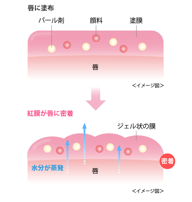 ＜イメージ図＞