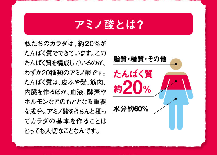 しじみの成分「アミノ酸アラニン」