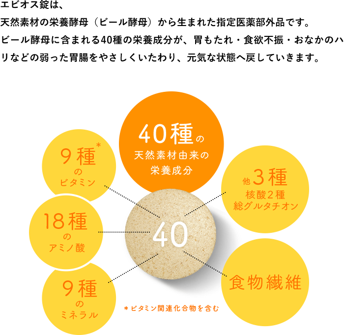 エビオス錠は、天然素材の栄養酵母（ビール酵母）から生まれた指定医薬部外品です。
          ビール酵母に含まれる40種の栄養成分が、胃もたれ・食欲不振・おなかのハリなどの弱った胃腸をやさしくいたわり、元気な状態へ戻していきます。
          ・40種の天然素材由来の栄養成分・他３種 核酸２種 総グルタチオン・食物繊維・９種のビタミン・１８種のアミノ酸・９種のミネラル ＊ビタミン関連化合物を含む
          