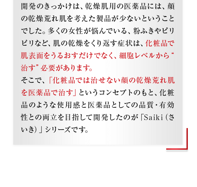 開発ストーリー