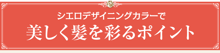 美しく髪を彩るポイント