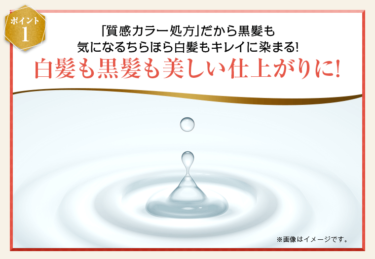 白髪も黒髪も美しい仕上がりに
