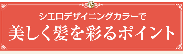 美しく髪を彩るポイント